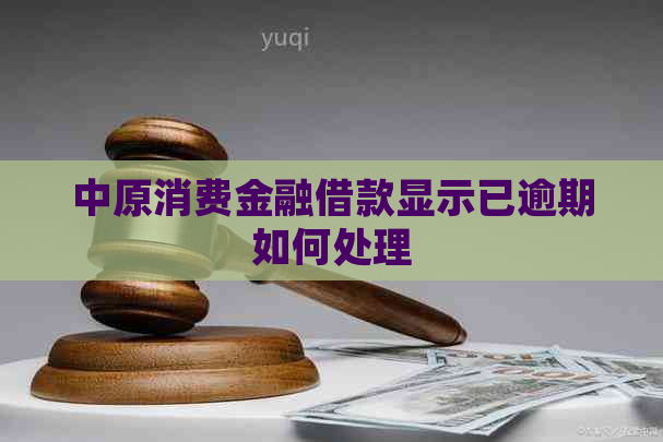 中原消费金融借款显示已逾期如何处理