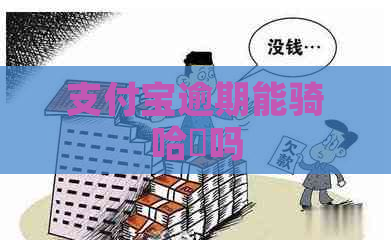 支付宝逾期能骑哈啰吗