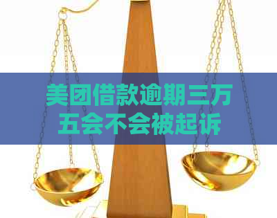 美团借款逾期三万五会不会被起诉
