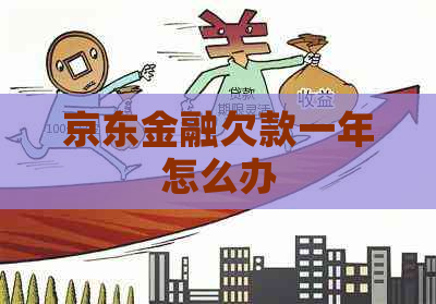 京东金融欠款一年怎么办