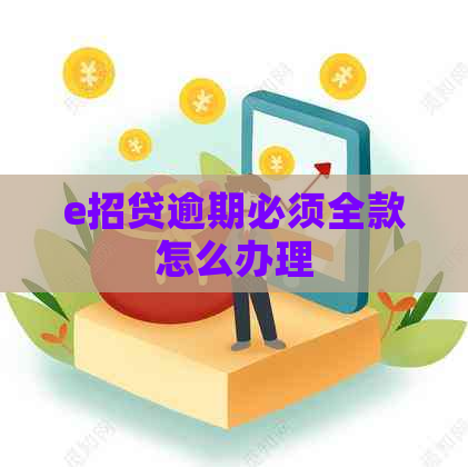 e招贷逾期必须全款怎么办理
