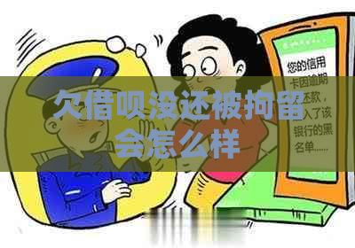 欠网贷没还被拘留会怎么样