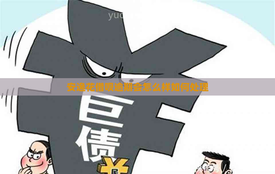 安逸花网贷逾期会怎么样如何处理