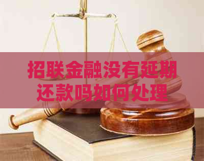 招联金融没有延期还款吗如何处理