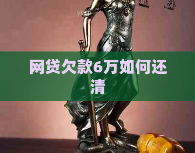 网贷欠款6万如何还清