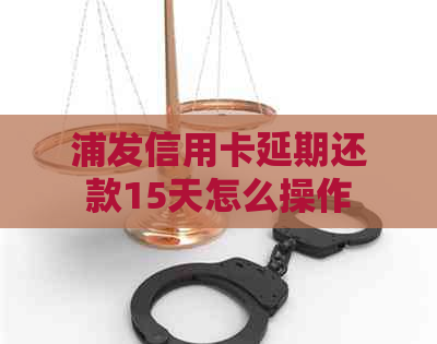 浦发信用卡延期还款15天怎么操作