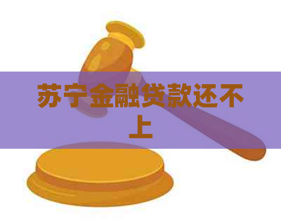 苏宁金融贷款还不上