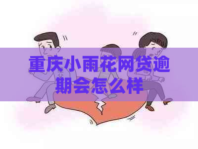 重庆小雨花网贷逾期会怎么样