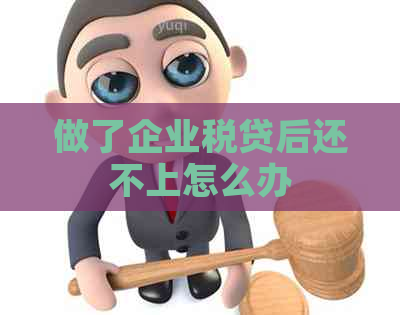 做了企业税贷后还不上怎么办