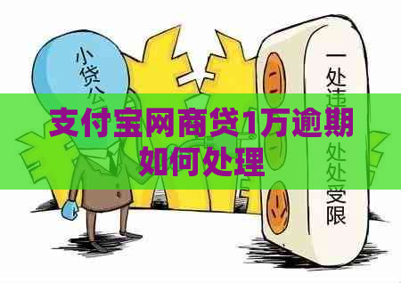 支付宝网商贷1万逾期如何处理