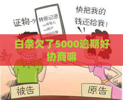 白条欠了5000逾期好协商嘛