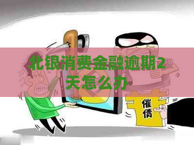 北银消费金融逾期2天怎么办