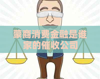 蒙商消费金融是谁家的公司