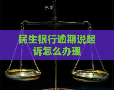 民生银行逾期说起诉怎么办理