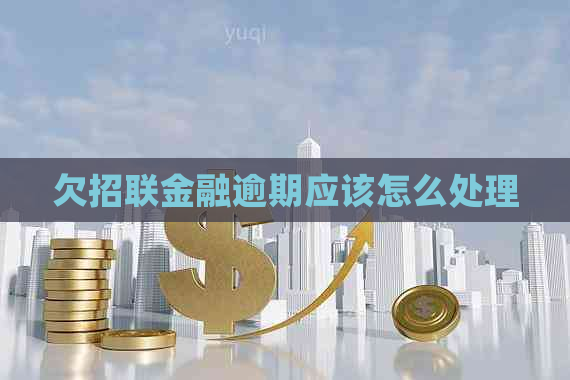 欠招联金融逾期应该怎么处理