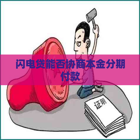 闪电贷能否协商本金分期付款