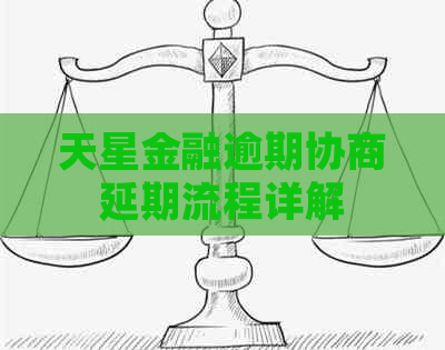 天星金融逾期协商延期流程详解