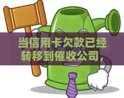 当信用卡欠款已经转移到公司，您应该如何应对？这里有解决方案！