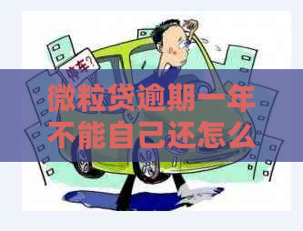 微粒贷逾期一年不能自己还怎么办