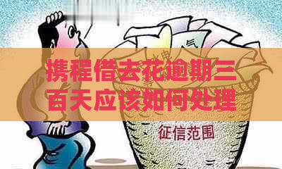 携程借去花逾期三百天应该如何处理