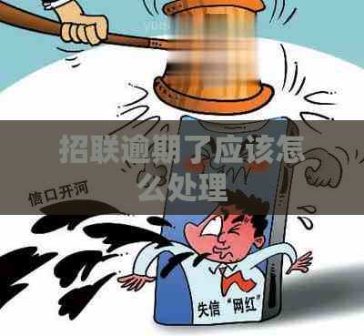 招联逾期了应该怎么处理