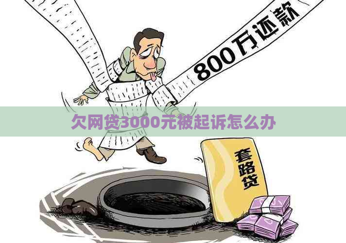 欠网贷3000元被起诉怎么办