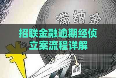 招联金融逾期经侦立案流程详解