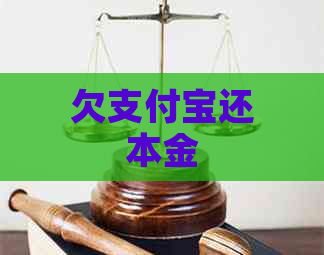 欠支付宝还本金