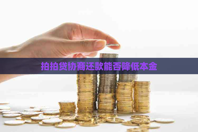 协商还款能否降低本金