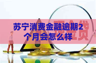 苏宁消费金融逾期2个月会怎么样