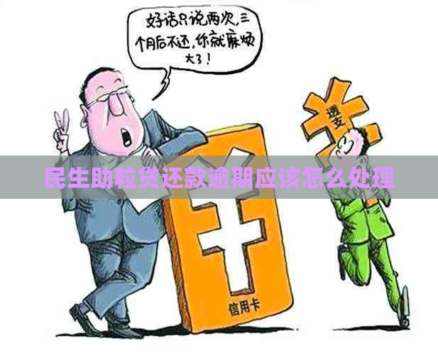 民生助粒贷还款逾期应该怎么处理