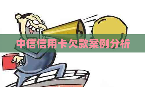 中信信用卡欠款案例分析