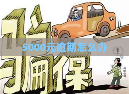 5000元逾期怎么办