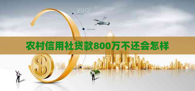 农村信用社贷款800万不还会怎样