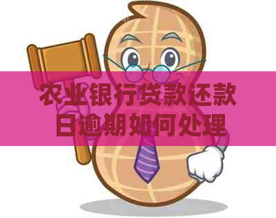 农业银行贷款还款日逾期如何处理