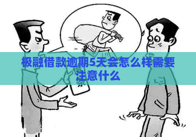 极融借款逾期5天会怎么样需要注意什么