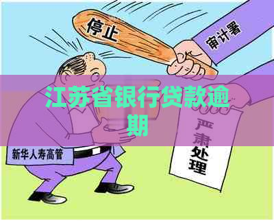 江苏省银行贷款逾期