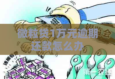 微粒贷1万元逾期还款怎么办