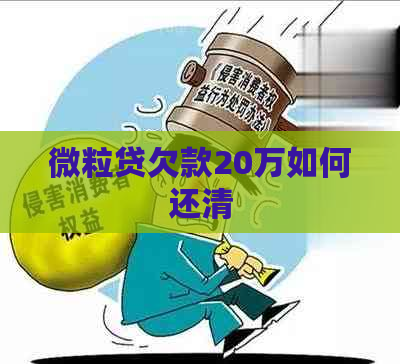 微粒贷欠款20万如何还清