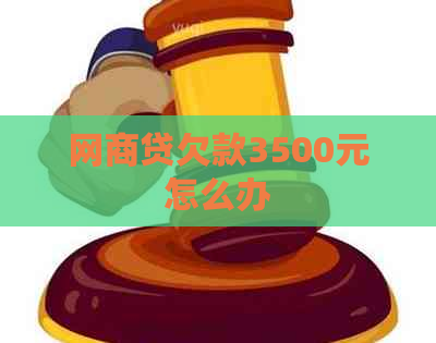 网商贷欠款3500元怎么办