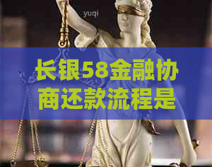 长银58金融协商还款流程是什么关键步骤