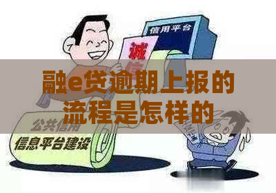 融e贷逾期上报的流程是怎样的