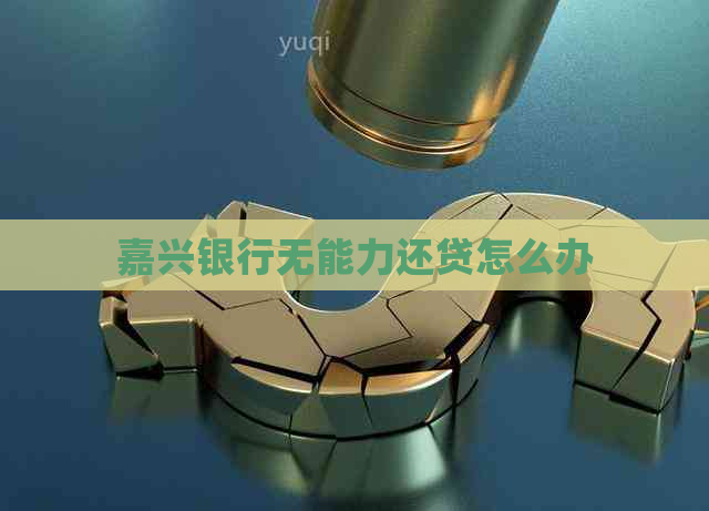 嘉兴银行无能力还贷怎么办