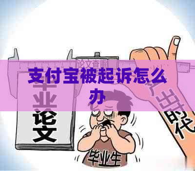 支付宝被起诉怎么办