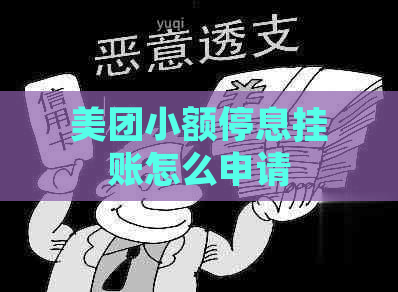 美团小额停息挂账怎么申请