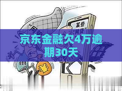 京东金融欠4万逾期30天