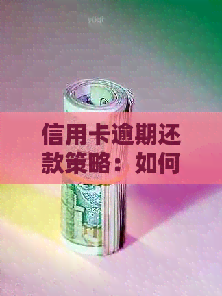 信用卡逾期还款策略：如何与银行协商分期计划