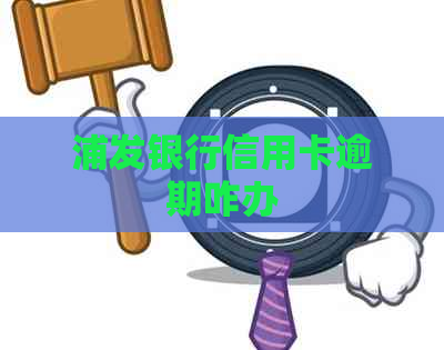 浦发银行信用卡逾期咋办