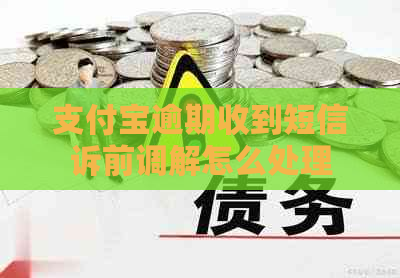 支付宝逾期收到短信诉前调解怎么处理