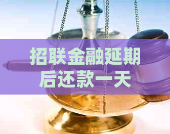 招联金融延期后还款一天